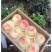 阳山水蜜桃上市品质优良价格实惠代购代办一件代发真诚服务