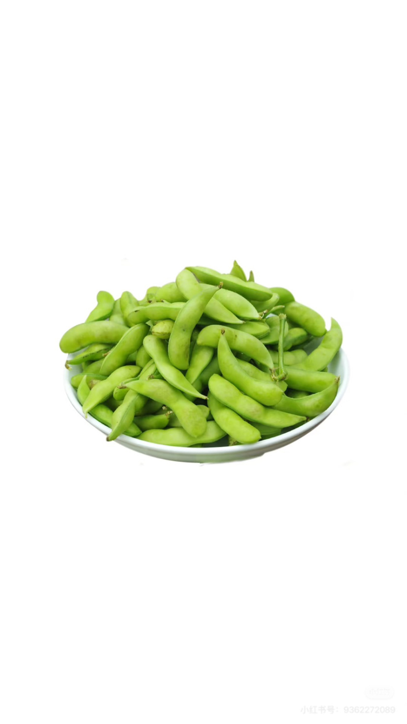 安福毛豆新鲜露天带壳青豆农家本地青毛豆