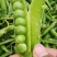 本地豌豆豆粒饱满
