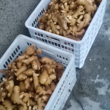 陕西省宝鸡市陈仓区千河镇。。