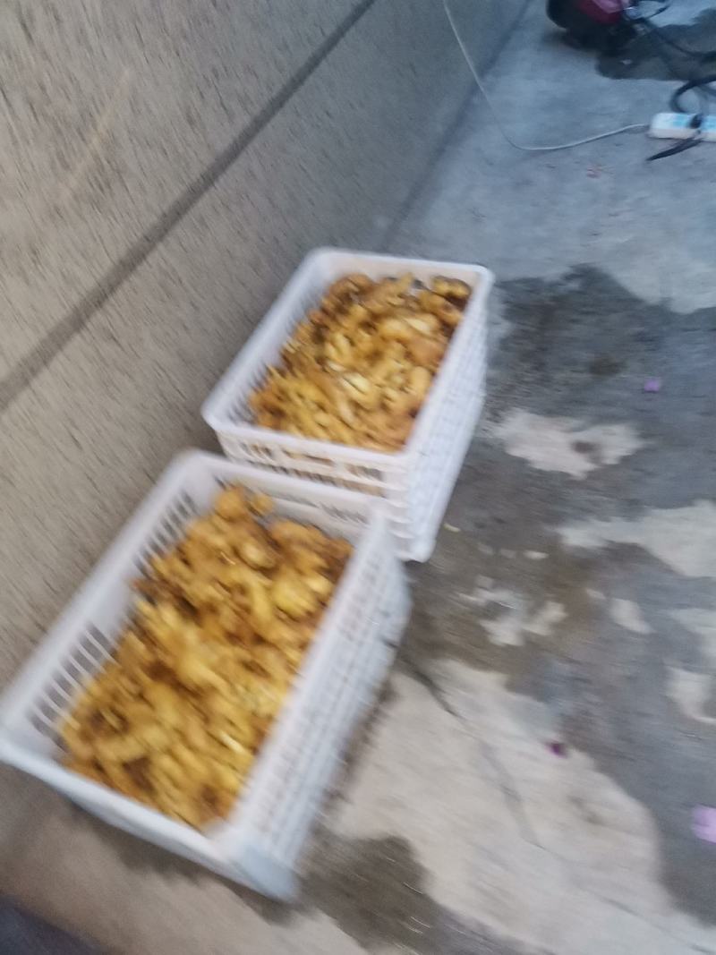 陕西省宝鸡市陈仓区千河镇。。