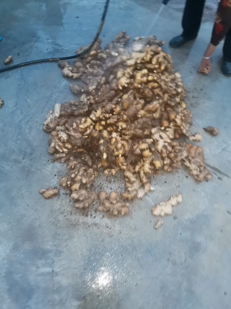陕西省宝鸡市陈仓区千河镇。。
