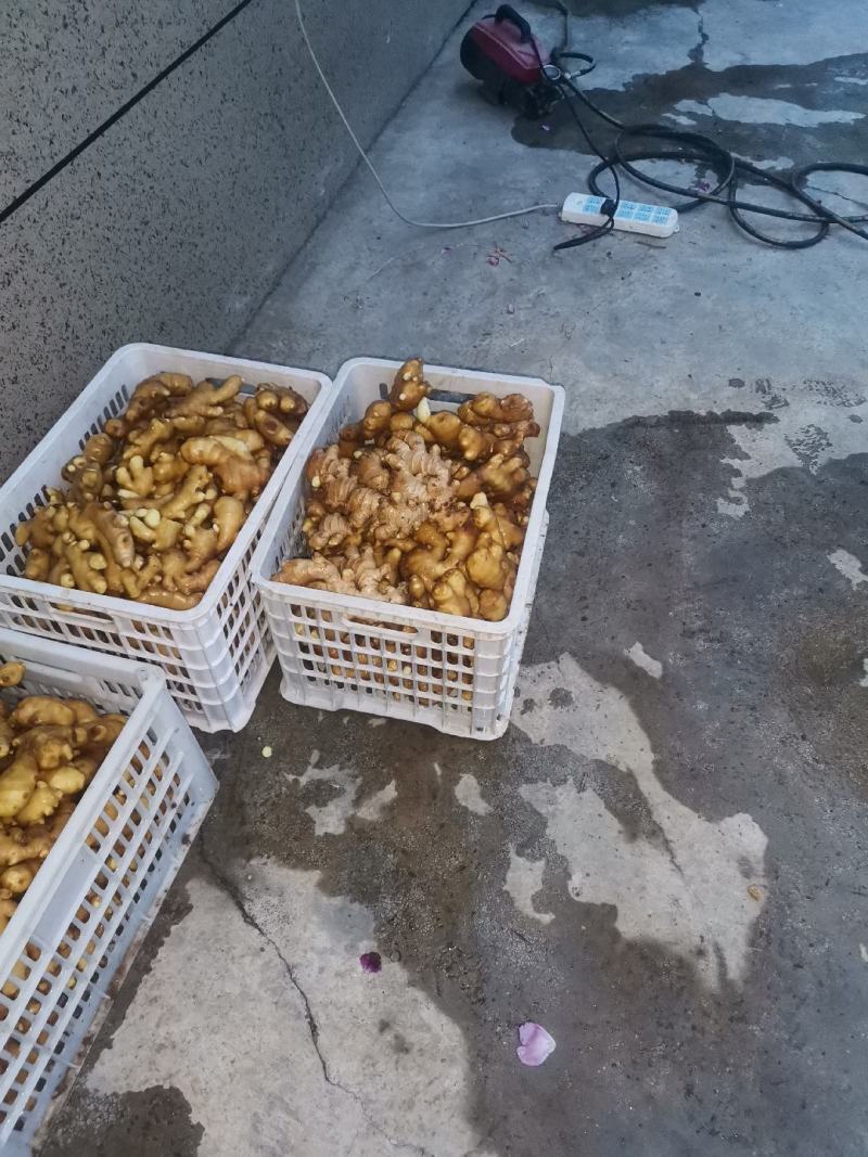 陕西省宝鸡市陈仓区千河镇。。