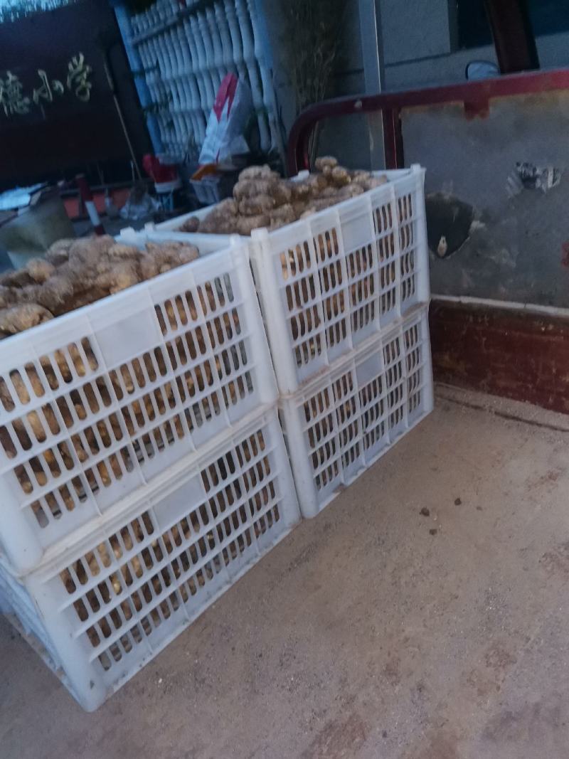 陕西省宝鸡市陈仓区千河镇。。