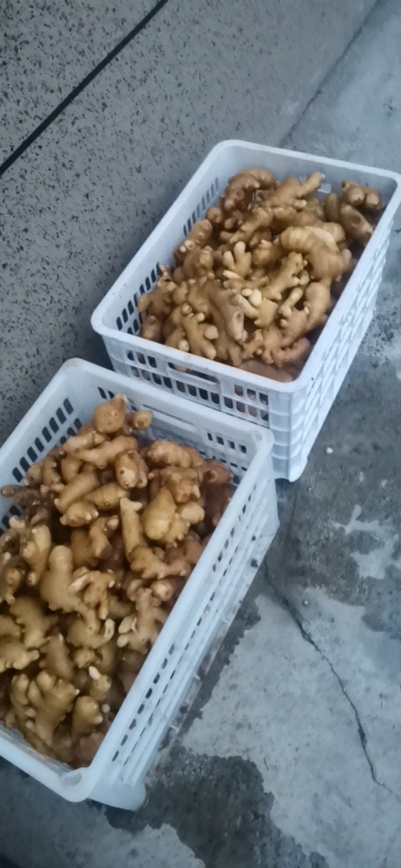 陕西省宝鸡市陈仓区千河镇。。