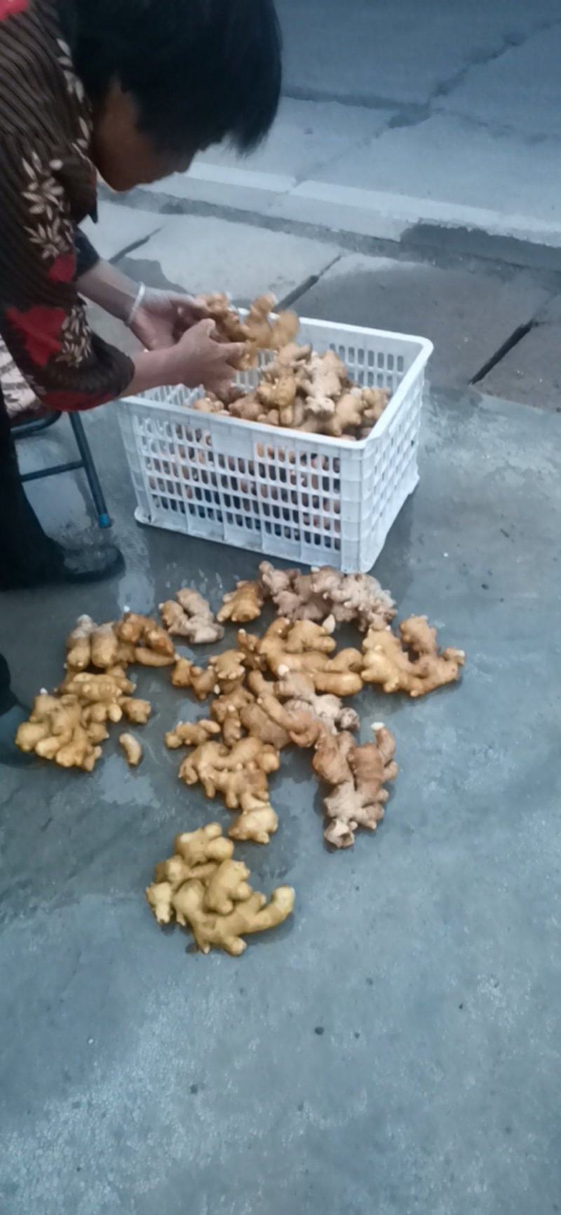 陕西省宝鸡市陈仓区千河镇。。