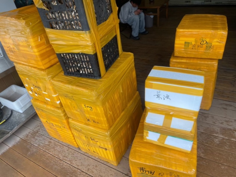 云南新鲜牛肝菌/白牛肝/黄牛肝