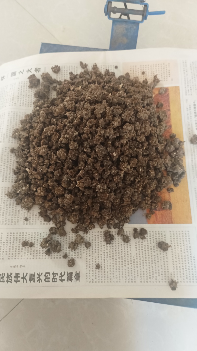猫爪草统货32元一斤产地直发量大从优可视频看货对接全国