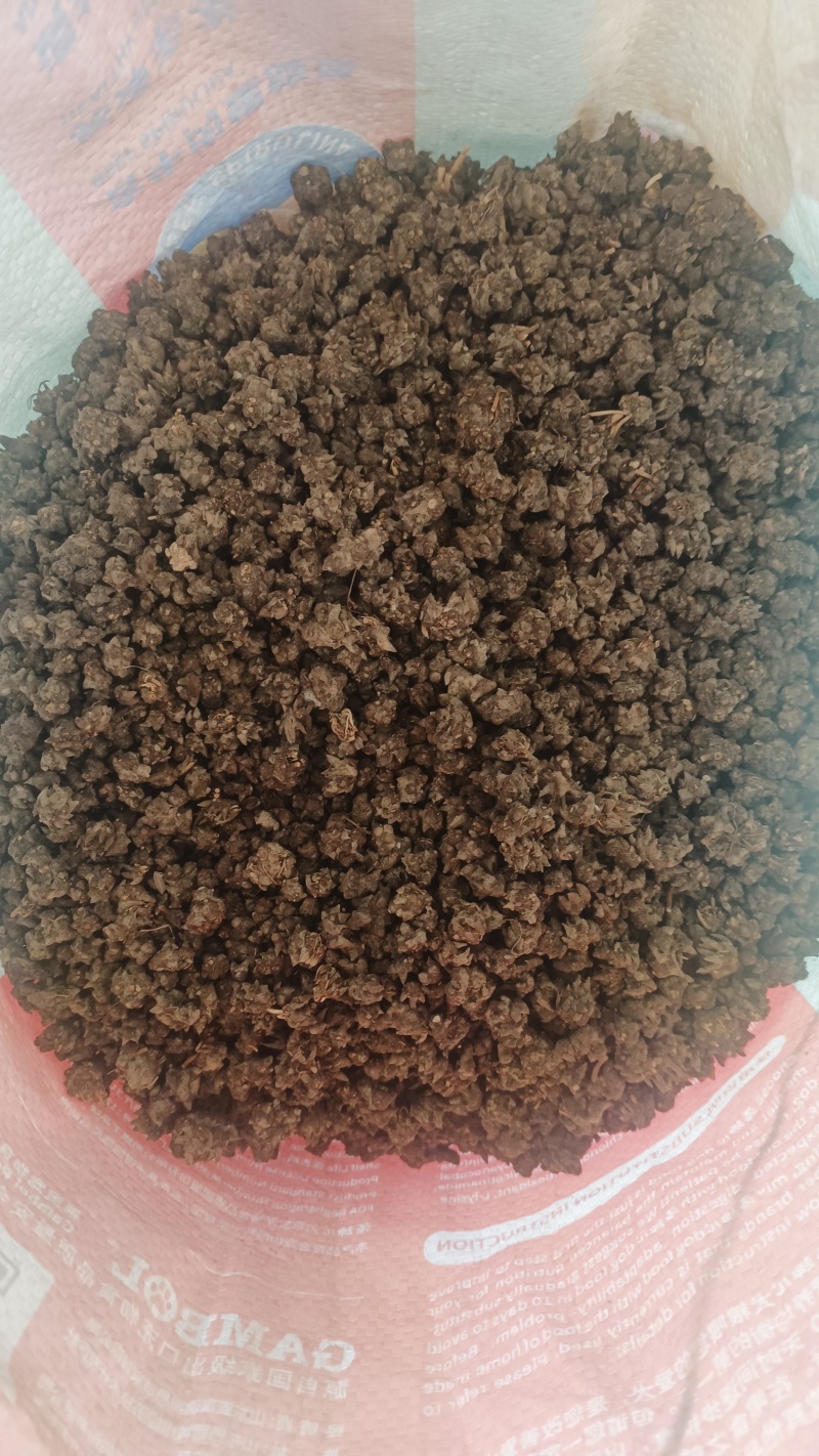 猫爪草统货32元一斤产地直发量大从优可视频看货对接全国