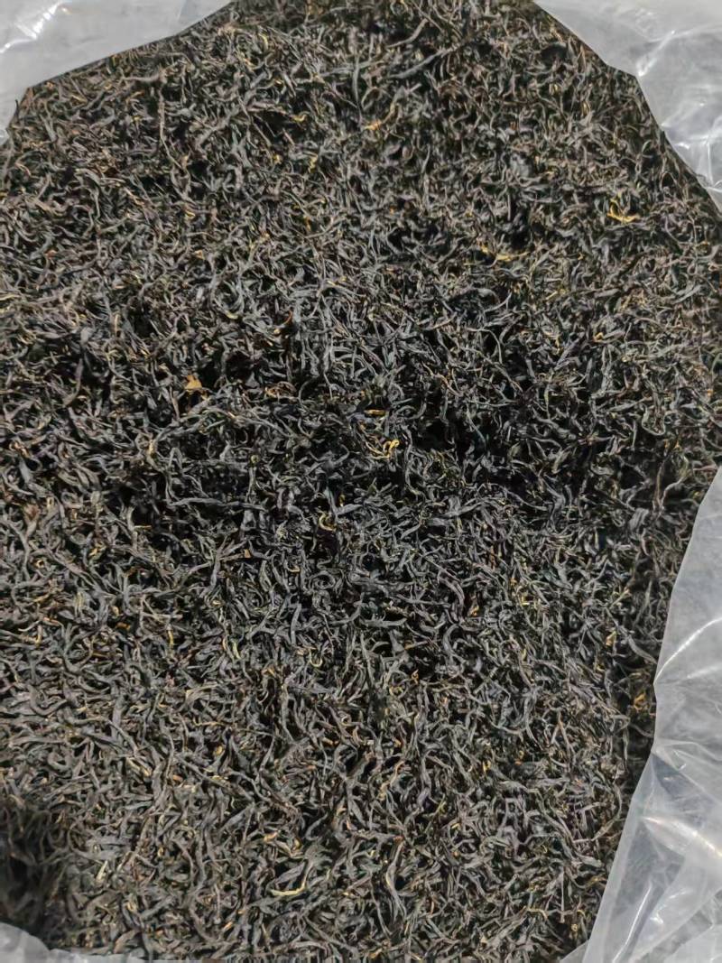 贵州高山种植正山小种红茶