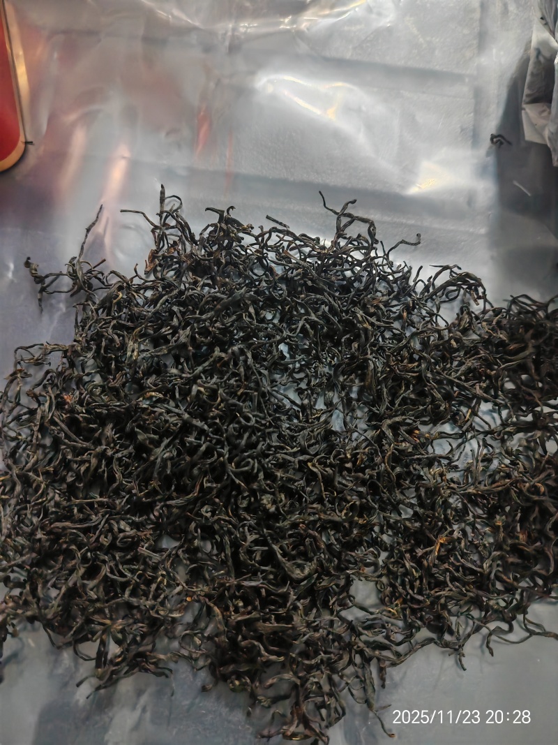 贵州高山种植正山小种红茶