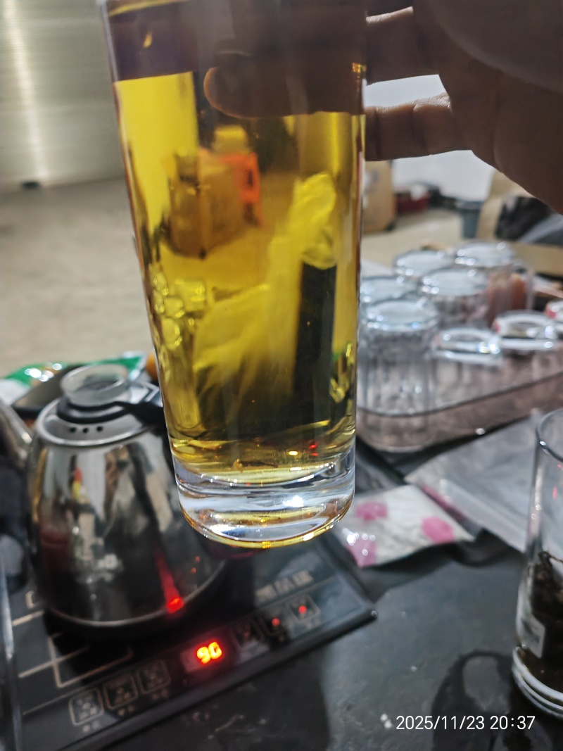 贵州高山种植正山小种红茶