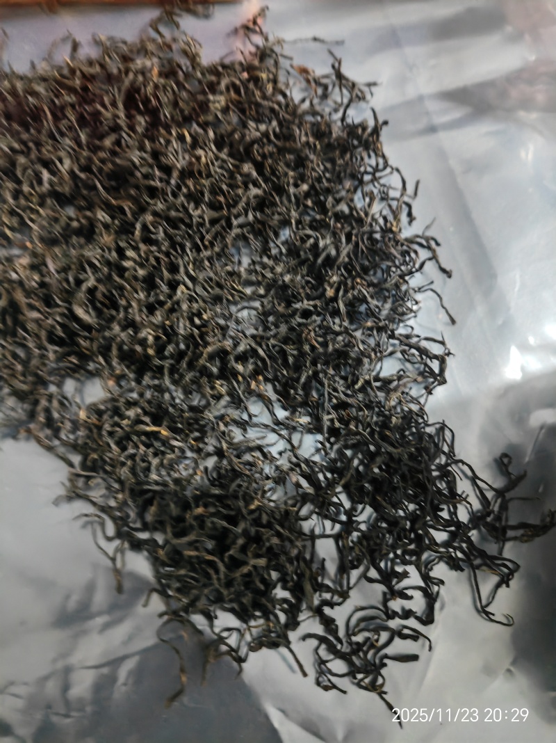 贵州高山种植正山小种红茶