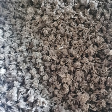 猫爪草各种规格货品