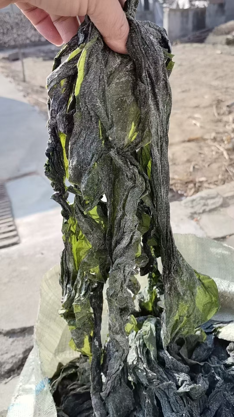优质七~八成干的盐渍海带大绿边，少碎，基本上无黄叶