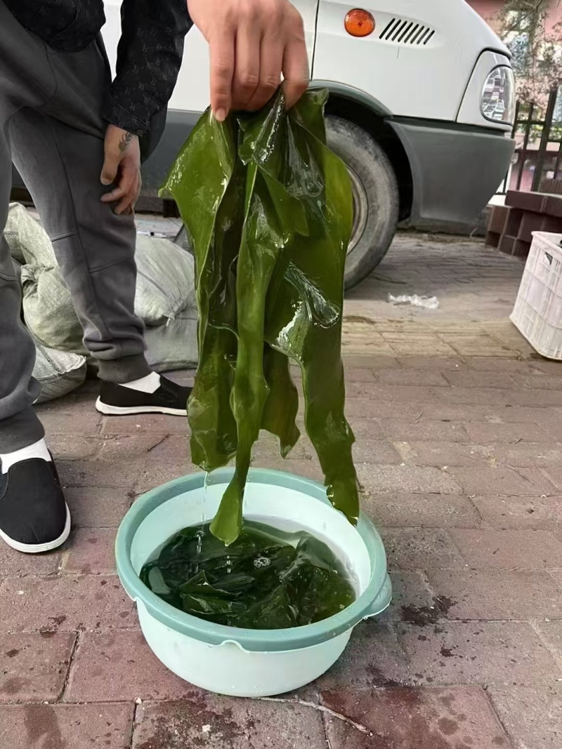 优质七~八成干的盐渍海带大绿边，少碎，基本上无黄叶
