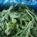 新鲜冰菜冰草火锅生吃凉拌沙拉菜