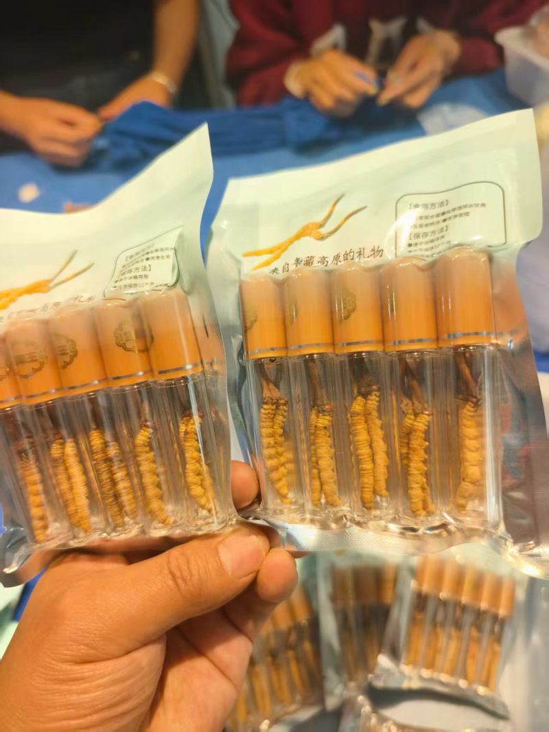 鲜冬虫夏草，线上可以下单