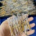 鲜冬虫夏草，线上可以下单