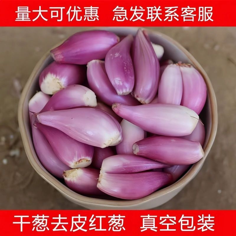 加工脱皮红葱