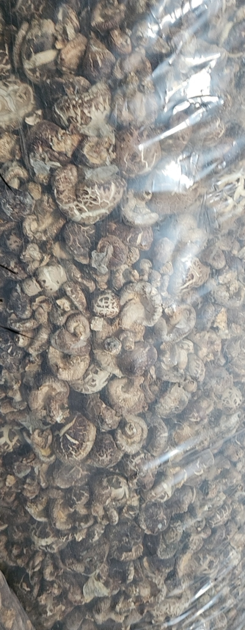 茶花茹(干香菇)