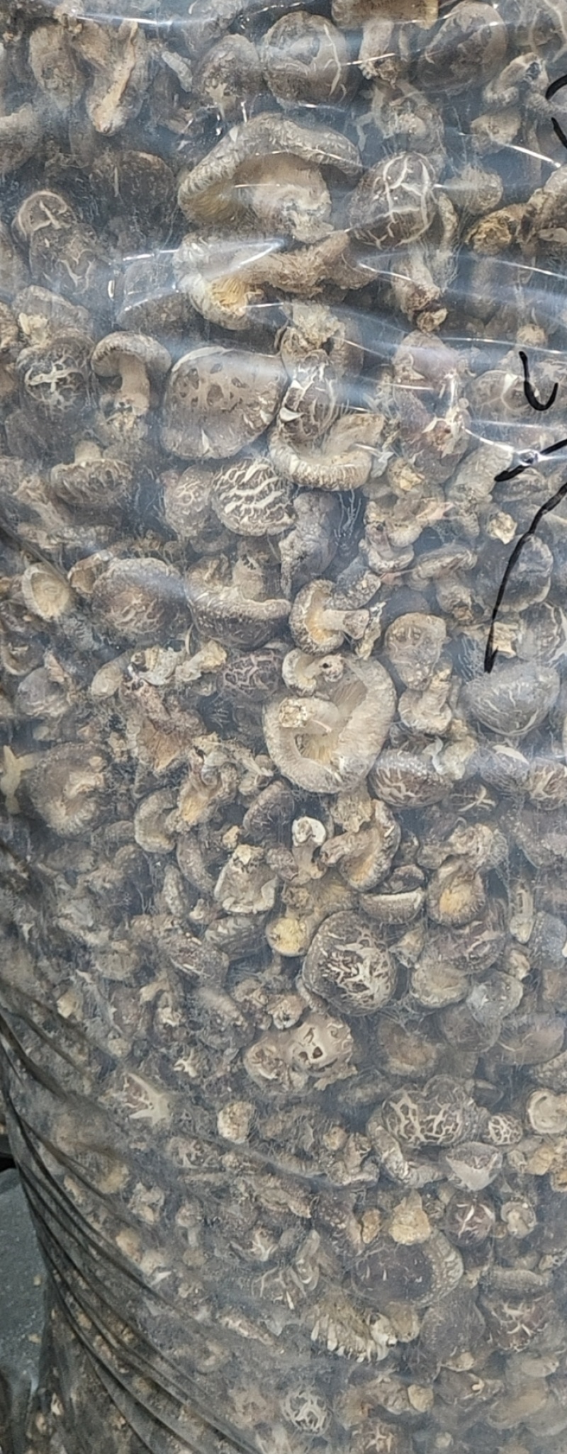 茶花茹(干香菇)