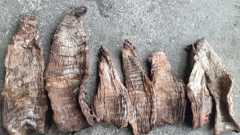 烟笋干通货，长短都有