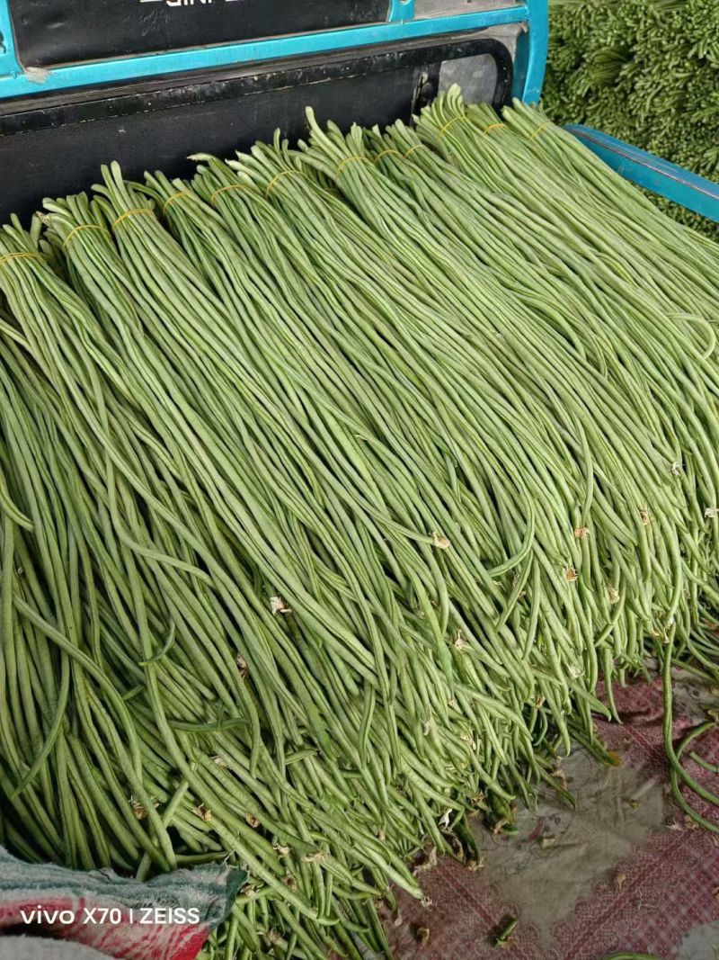 青条豆角精品豆角长豆角缸豆