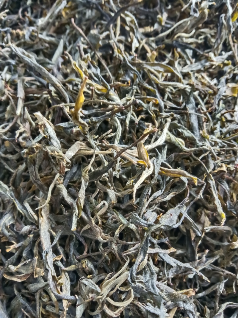 云南凤庆，放荒古树生普，纯手工制作欢迎随时咨询！