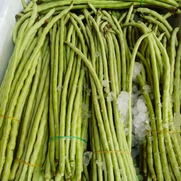 青条豆角甜豆角厂家直销量大从优下单秒发