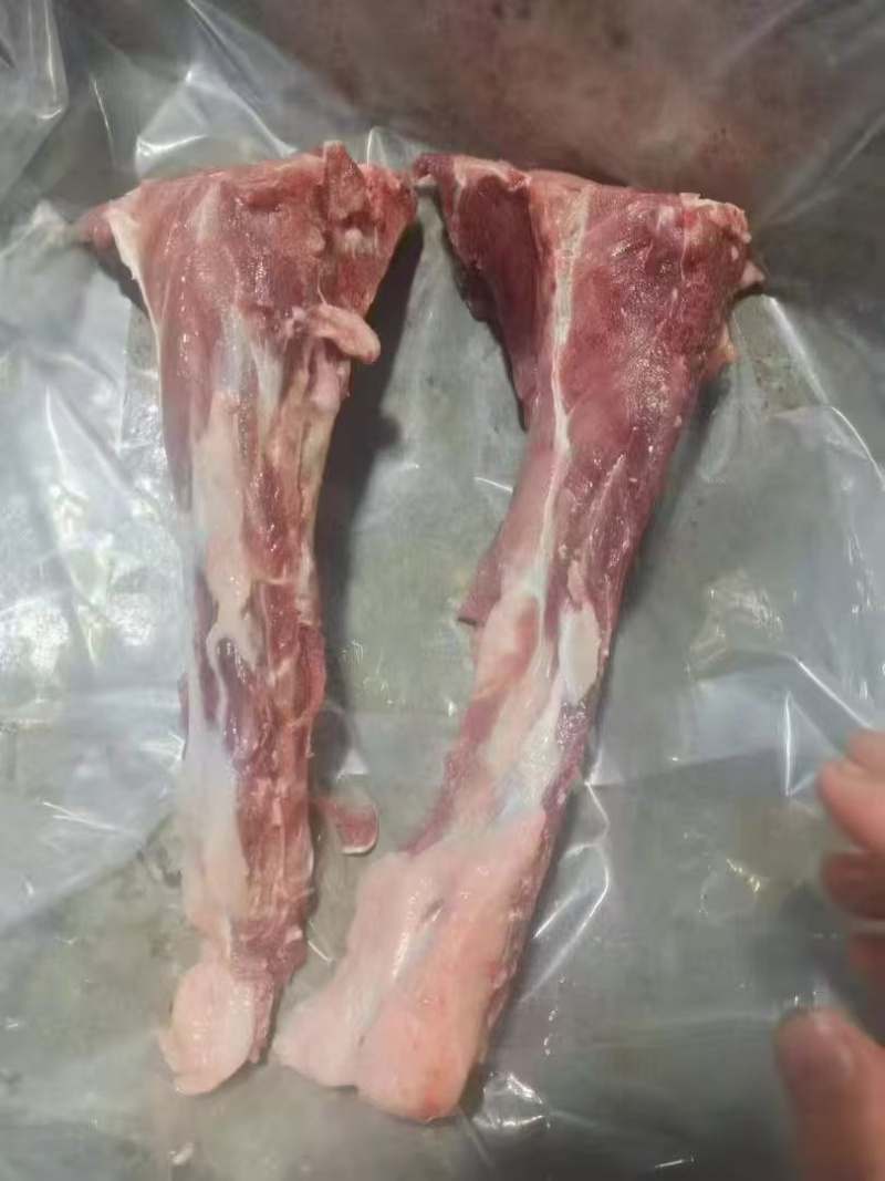 母猪尾骨