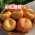 彩虹油蟠桃，黄金油盘桃，油盘桃，一件代发，产地直供！