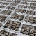 基地直供，货源充足