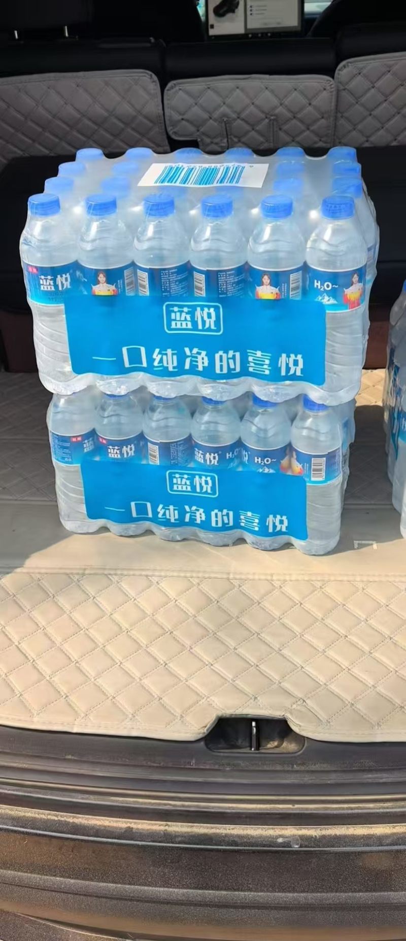 蓝悦纯净水