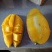 红贵妃芒果红金龙芒果上市了有需要可以随时呼唤我对接各种渠
