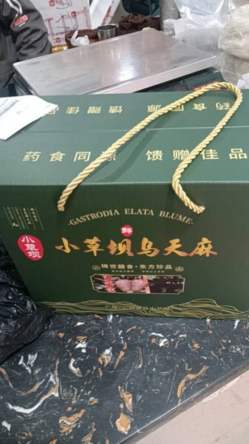 小草坝乌天麻