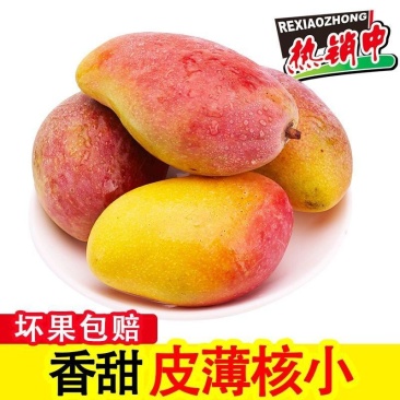【精选】广西贵妃芒果万亩基地现摘现发品质保障坏果包赔