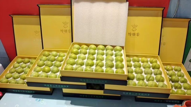 贵州六马蜂糖李
