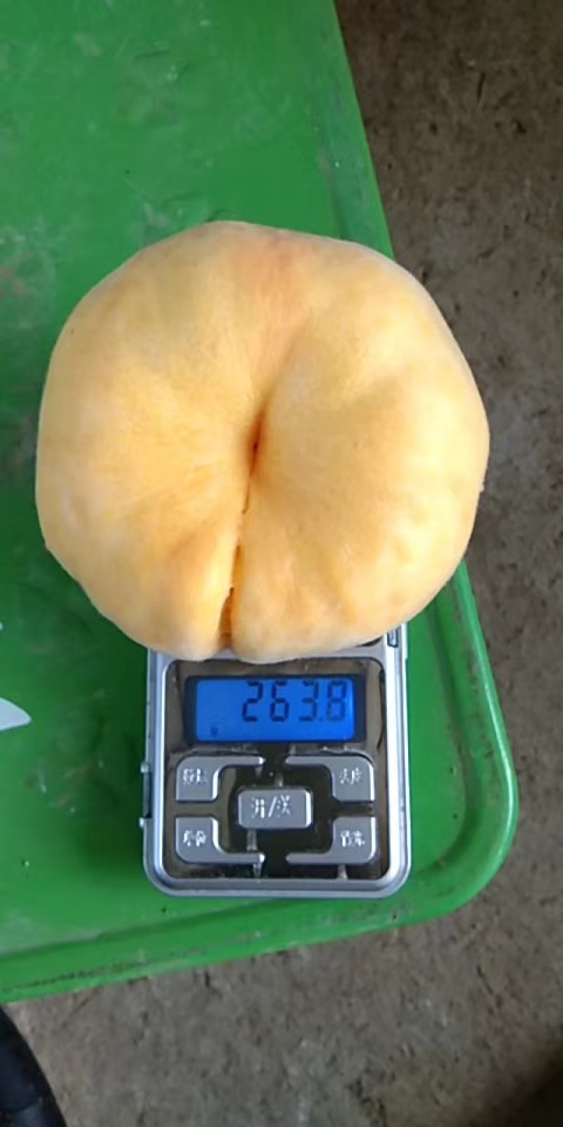 5月25号毛桃，水蜜桃，蟠桃，黄桃