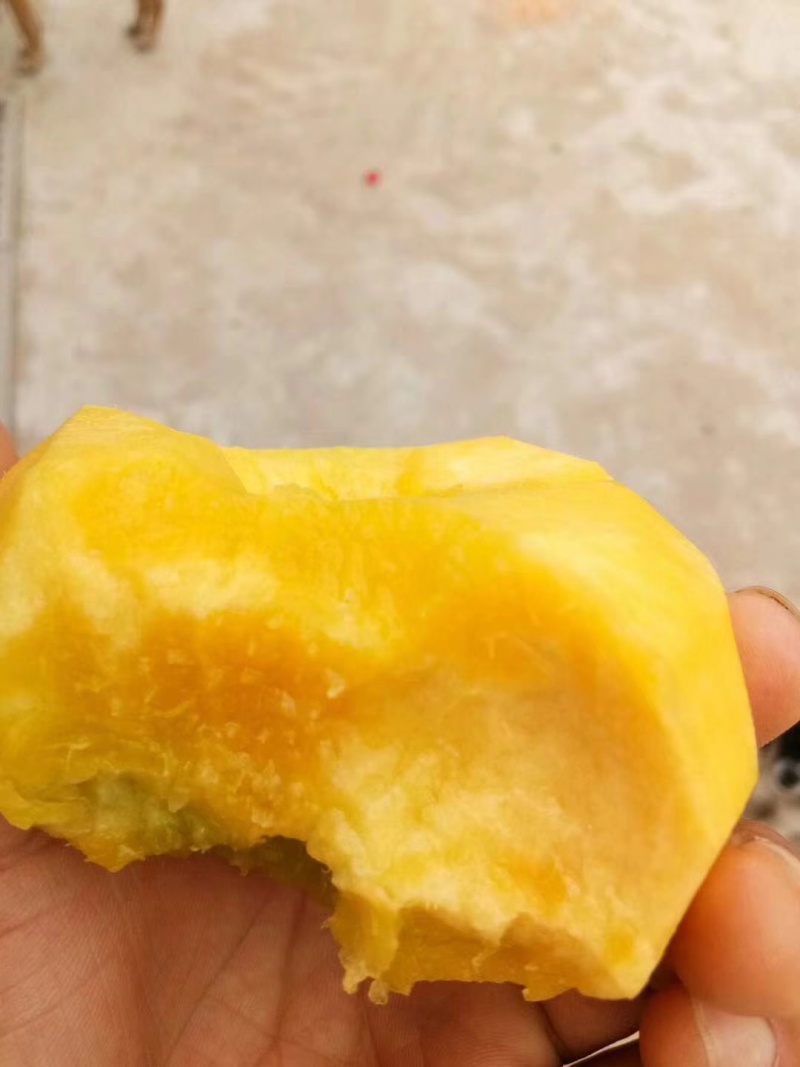 5月25号毛桃，水蜜桃，蟠桃，黄桃