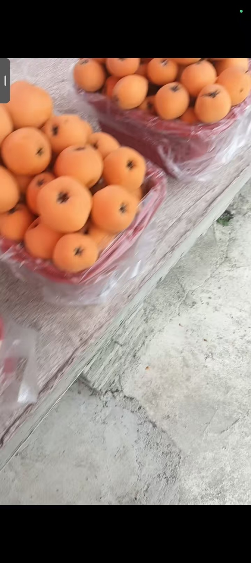 贵州高山枇杷