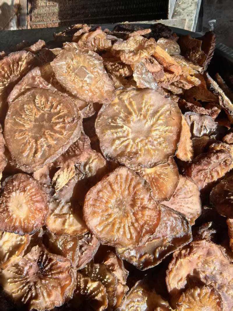 荒漠肉苁蓉，家种肉苁蓉，大量现货，可视频看货