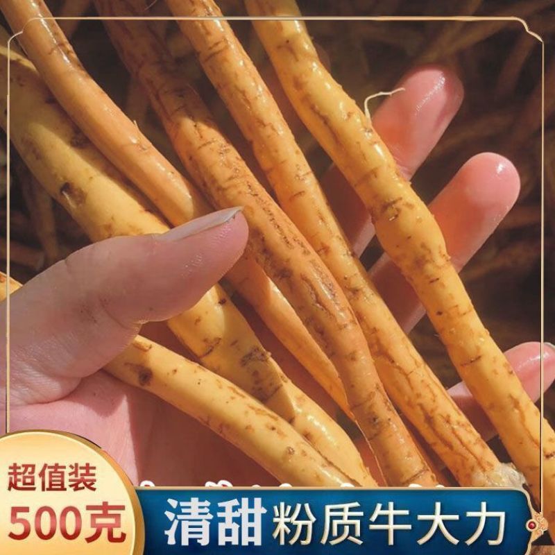 新鲜野生牛大力薯新鲜整根粉质糯甜金钟根煲汤泡酒材料中药材