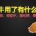发酵姜粉，糖蜜料