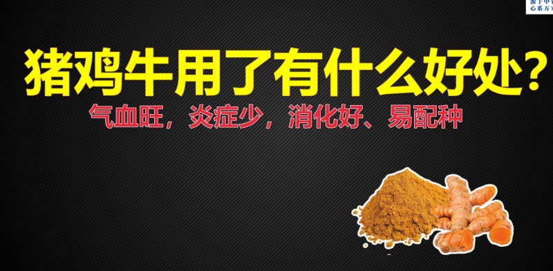 发酵姜粉，糖蜜料