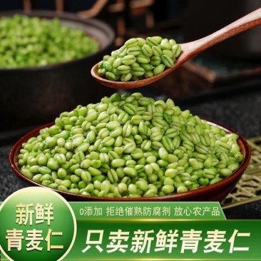 青麦仁2026年新货刚出有量有礼一件代发全品台