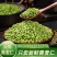 青麦仁2026年新货刚出有量有礼一件代发全品台