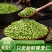 青麦仁2026年新货刚出有量有礼一件代发全品台