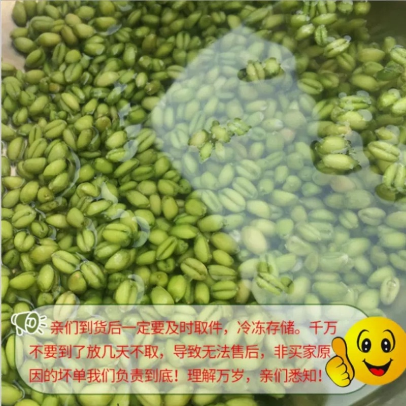 青麦仁2026年新货刚出有量有礼一件代发全品台