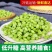 青麦仁2026年新货刚出有量有礼一件代发全品台